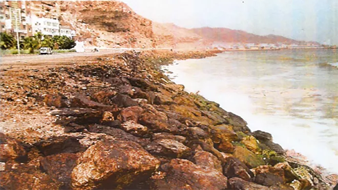 صورة الشواطئ الصخرية الملوثة بالمنطقة شرق المكلا